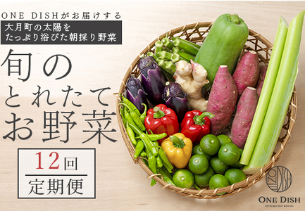 大月町産 旬のとれたてお野菜定期便