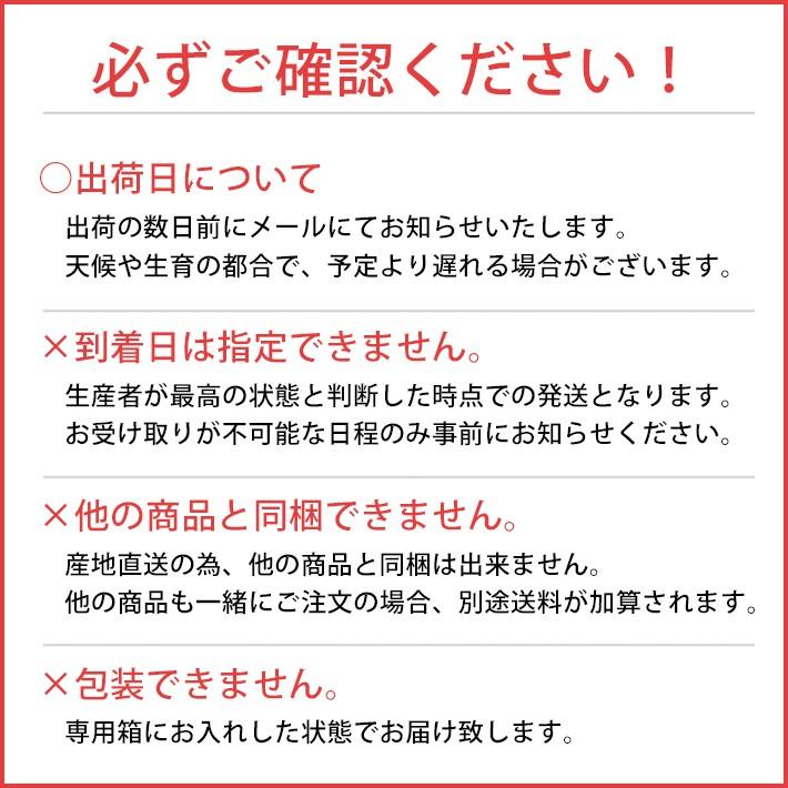 フルーツ ラフランス 山形 3kg 中玉 贈答用 秀2L 送料無料