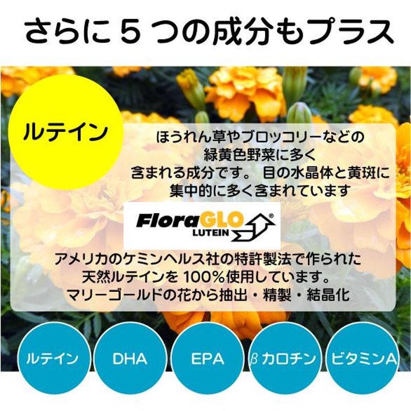 アサイベリーアイ ルテイン アイ DHA EPA サプリ お試しサイズ40粒