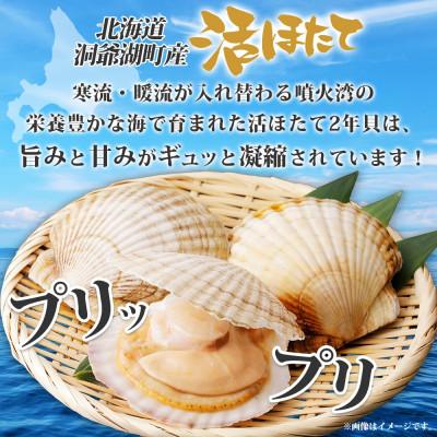 ふるさと納税 洞爺湖町 約2kg!活ほたて2年貝(15枚〜22枚)