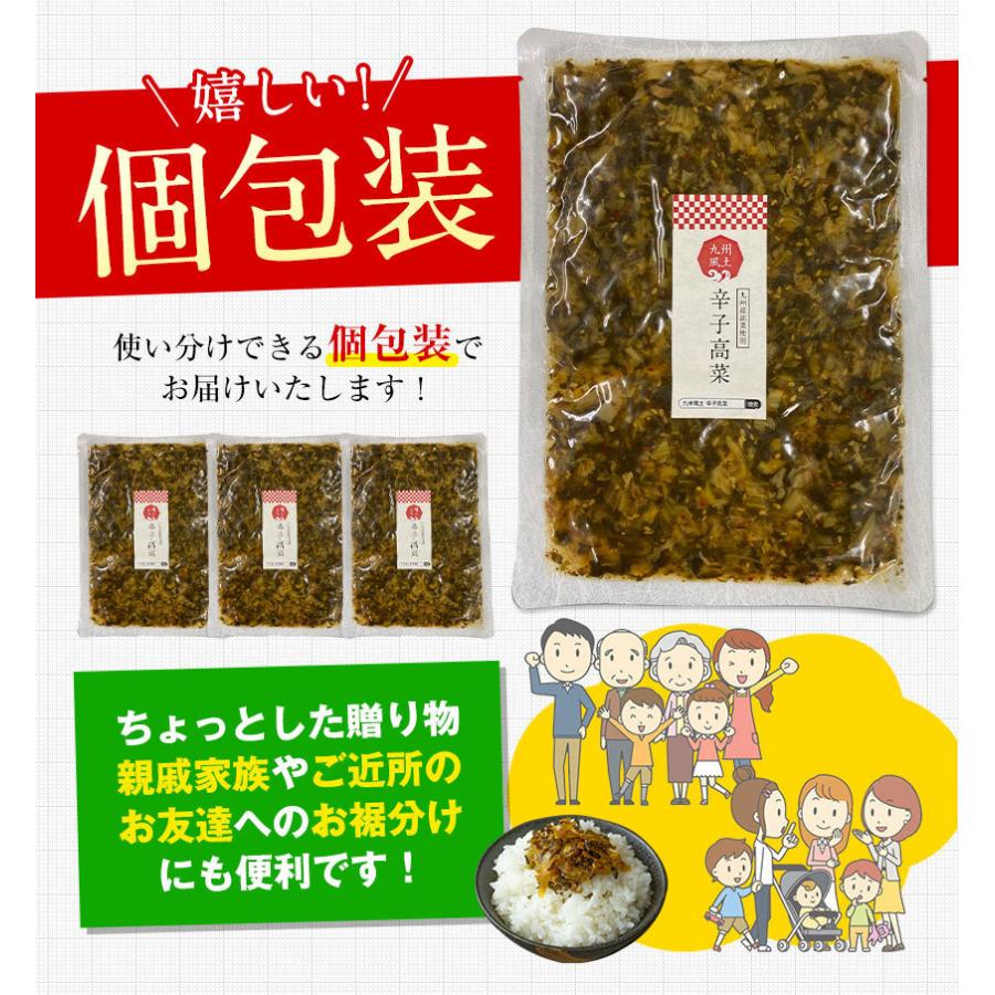 賞味期限2023年12月26日 辛子高菜 600g入(150g×4袋) 1000円 ポッキリ 送料無料 高菜漬け 小分け ご飯 お供 漬け物 1-5営業以内発送予定(土日祝除)