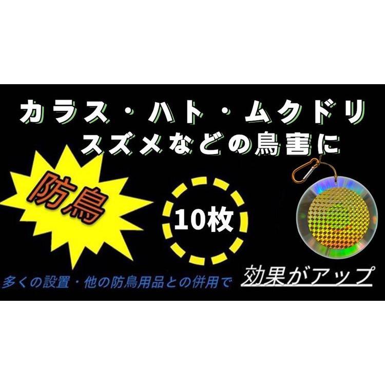 鳥よけ 野鳥よけ カラスよけ 鳥追いCD １０枚入り ギラギラディスク 光反射 鳥害対策 鳥撃退 反射板 防鳥グッズ 菜園鳥よけ ぶら下げる 吊るす 光反射CDプレート
