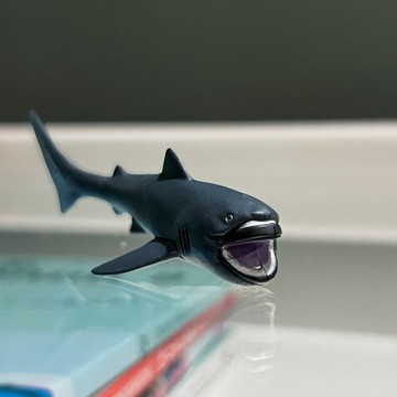 日本正版 海洋堂 日本的動物 巧克力蛋 擬真動物 鯊魚 公仔 模型 玩具 收藏 轉蛋 扭蛋 食玩 盒玩