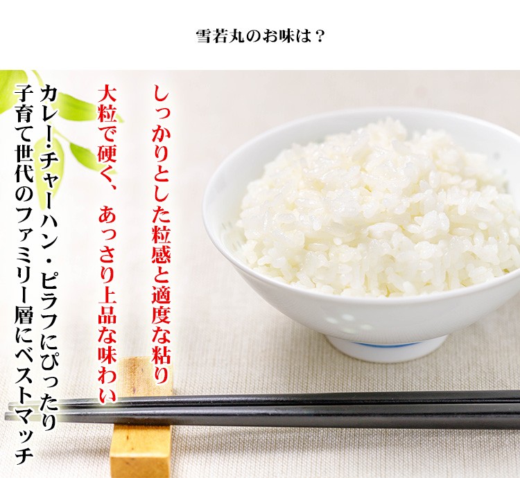 新米 米 白米 10kg 送料無料 雪若丸 5kg×2袋 山形県産 令和5年産 雪若丸 お米 10キロ 安い 送料無料