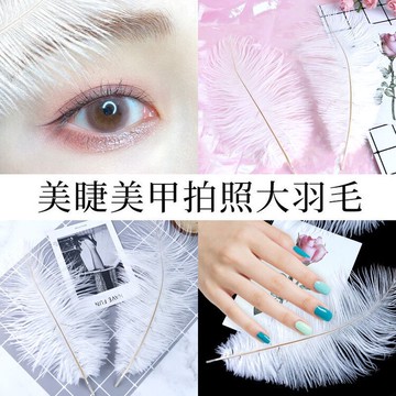 白色羽毛拍照道具嫁接睫毛美睫美甲網紅背景擺件布景擺拍裝飾神器