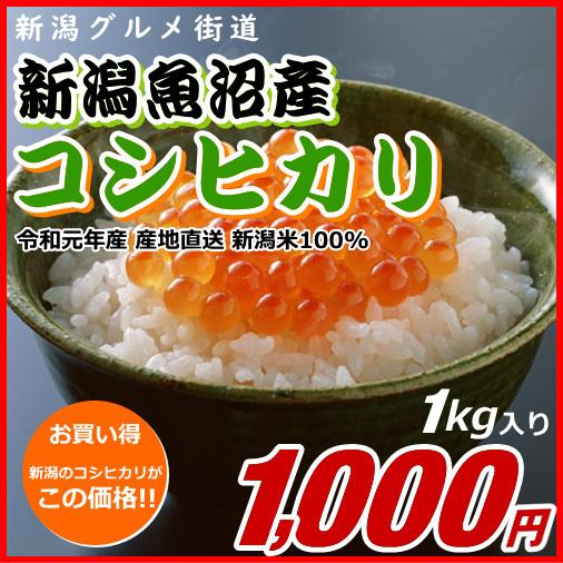 コシヒカリ 魚沼産 1000円分（1キロ） 新潟米 お米 新潟産 産地直送 米 コメ お歳暮 自宅用 ギフト 贈答 贈り物