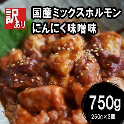 ふるさと納税 舞鶴市 国産牛のミックスホルモン 750g(250g×3) にんにく味噌味 焼肉にも