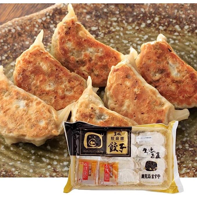 冷凍惣菜　時短ごはん　送料込 国産 黒豚餃子（オーガニック皮） 12個入 10パック 鹿児島県産黒豚 国産野菜使用 冷凍品