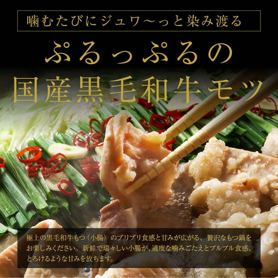 北九州駅弁当 博多の味 牛もつ鍋セット しょうゆ味 700g(2~3人前) 冷凍 国産 黒毛和牛 ちゃんぽんめん付 モツ 小腸 ホルモン 味付 お歳暮