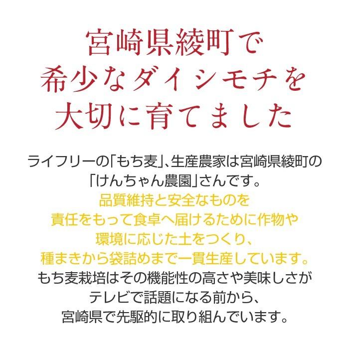 もち麦 もちむぎ 300g 無農薬 無肥料 自然栽培 ダイシモチ 宮崎県産 食物繊維