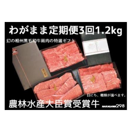 ふるさと納税 わがまま定期便　 幻の相州黒毛和牛肩肉 1.2kg 年に3回お届け！ 神奈川県小田原市