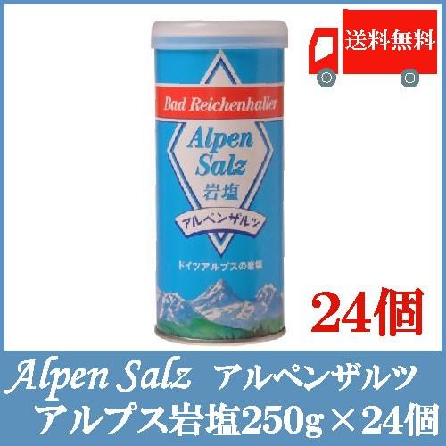 送料無料 アルペンザルツ 岩塩 250g × 24個 (ドイツ アルプス岩塩)