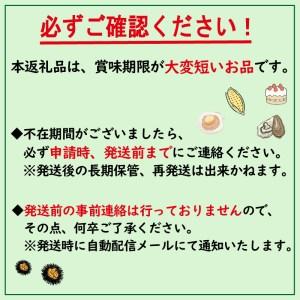 ふるさと納税 サロマ湖産 塩水生うに 海鮮 雲丹 うに ウニ 塩水 生ウニ 生うに ウニ丼 エゾバフンウニ ム.. 北海道北見市