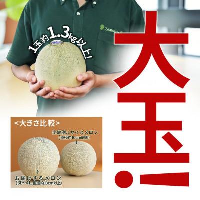 ふるさと納税 山形県  山形県 庄内産 青肉メロン 5kg (3〜5玉入り)