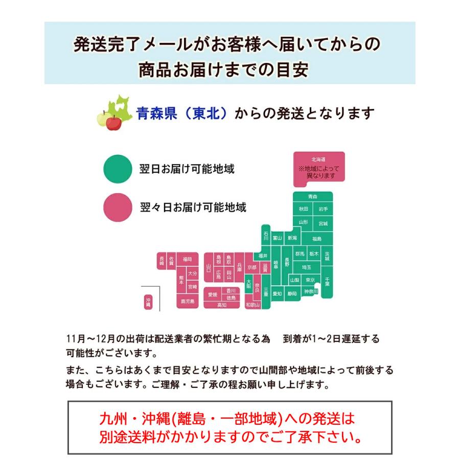 2023年産 青森県産りんご 贈答用 サンふじ10kg （約24玉〜46玉前後）産地直送 お歳暮 ギフト 内のし付き