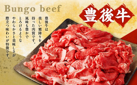 切り落とし 1.2kg (600g×2) 焼肉 ステーキ 霜降り