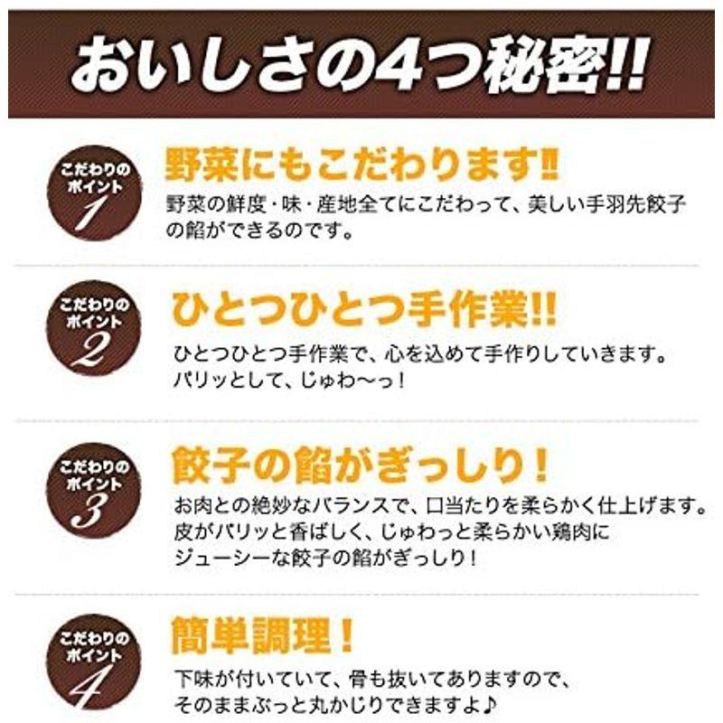 手羽先餃子 お試し5本×3パック 鮮度、味、産地、全てにこだわった手羽先お惣菜 バーベキュー、BBQに最適手羽餃子焼くだけ