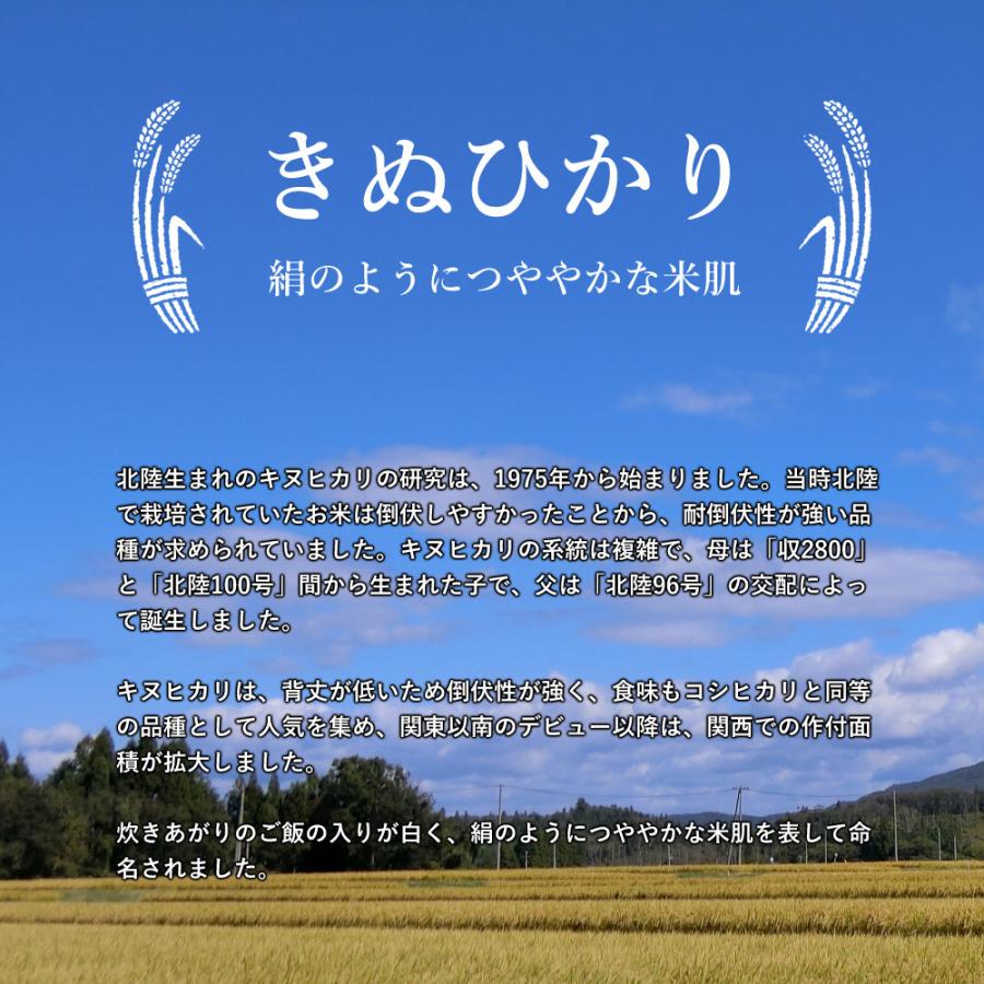 令和4年産新米 和歌山県産 赤津直基さんのキヌヒカリ 2kg 精米済み 白米 送料無料