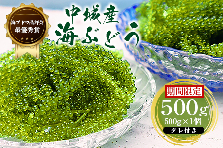 ＜2023年4月上旬～秋頃に出荷＞海ぶどう（500g×1個セット）タレ付き