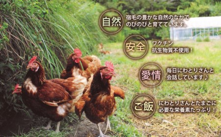 放し飼い養鶏のたまご 6個入り 3パック