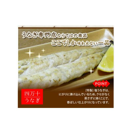 ふるさと納税 高知県 四万十町 期間限定 数量限定 四万十うなぎ 塩うなぎセット 280g（140g×2本） ウナギ 鰻 小分け 惣菜 国産 冷凍 ウナギ 鰻 Esu-201