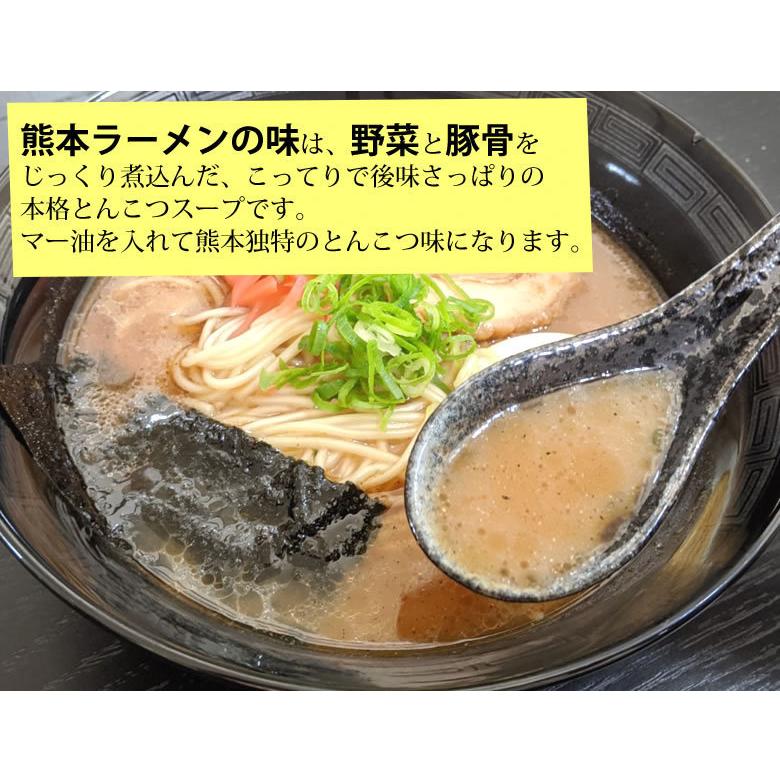 ラーメン 宮本の熊本ラーメン 送料無料 2食 生麺 豚骨ラーメン お取り寄せ 九州ラーメン ご当地ラーメン