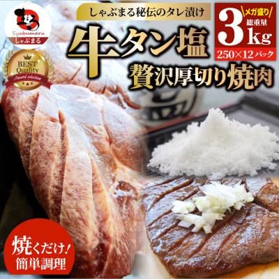 ふるさと納税 三木町 牛タン焼肉 秘伝の塩ダレ漬け 総重量 3kg(250g×12)《専門店の味》