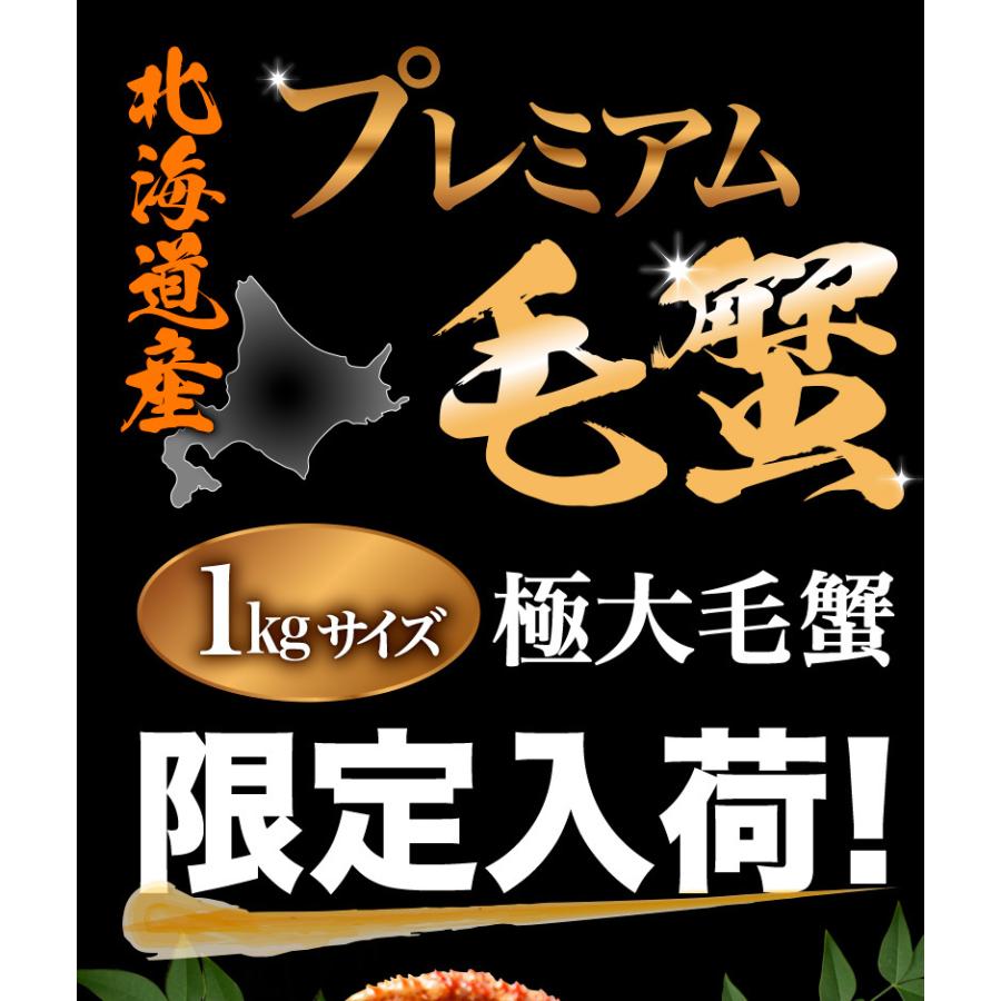 北海道産プレミアム毛蟹 毛ガニ 超特大約1kg（3特・4特）2杯 送料無料 産地直送 Y凍