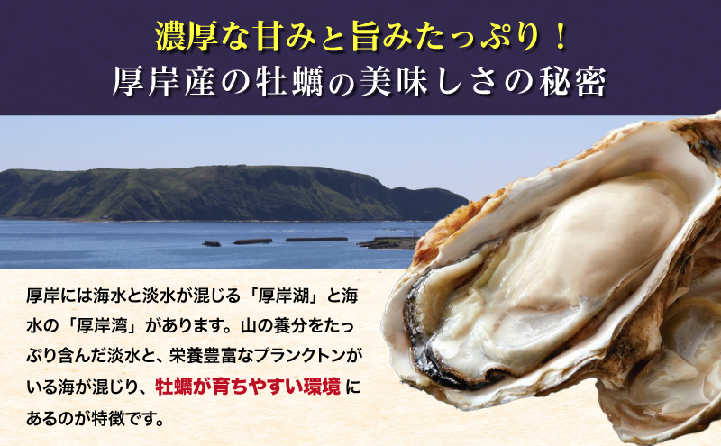 定期便 3ヶ月 北海道 厚岸産 牡蠣 Lサイズ 20個 (各回20個×3ヶ月分,合計60個) 殻付き 生食 カキナイフ付き かき カキ