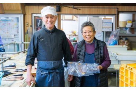 尾鷲市民の定番干物セット ３種　＜お試し商品＞　JP-4