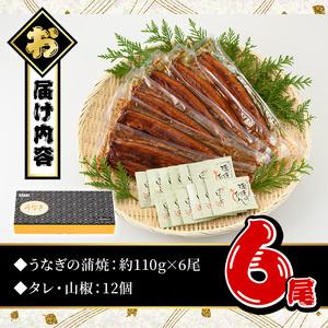 鹿児島県産 うなぎ蒲焼 中 6尾セット 鰻蒲焼 計約660g(約110g×6尾) タレ・山椒付き 鰻 ウナギ 国産B145