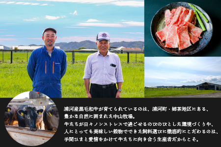 A4等級以上！「北海道浦河産黒毛和牛」4種食べ比べセット(計900g)[28-1150]