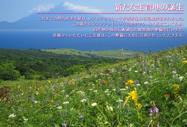 北海道礼文島産　宝うに缶詰（バフンウニ）5個