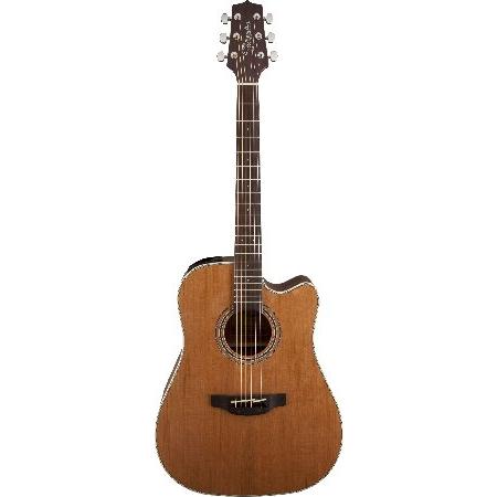 Takamine GD20CE-NS Dreadnought Cutaway Acoustic-Electric Guitar