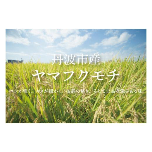 ふるさと納税 兵庫県 丹波市 丹波ちまき（丹波栗・丹波黒豆入り）