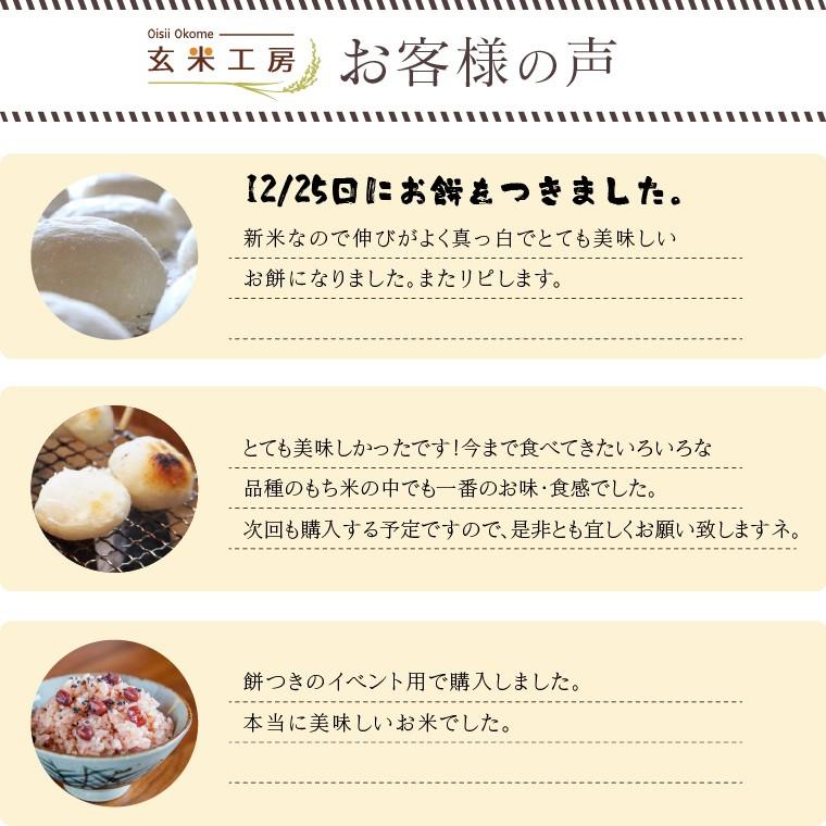 米 お米 10kg もち米 福島県産 こがねもち 送料無料 精米 令和５年産