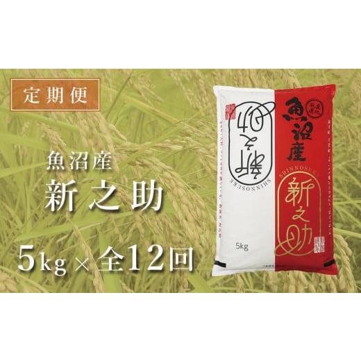 ふるさと納税 新潟県 津南町 ＜令和5年産新米＞中魚沼産「新之助(しんのすけ)」5kg×全12回（12ヶ月連続お届け）