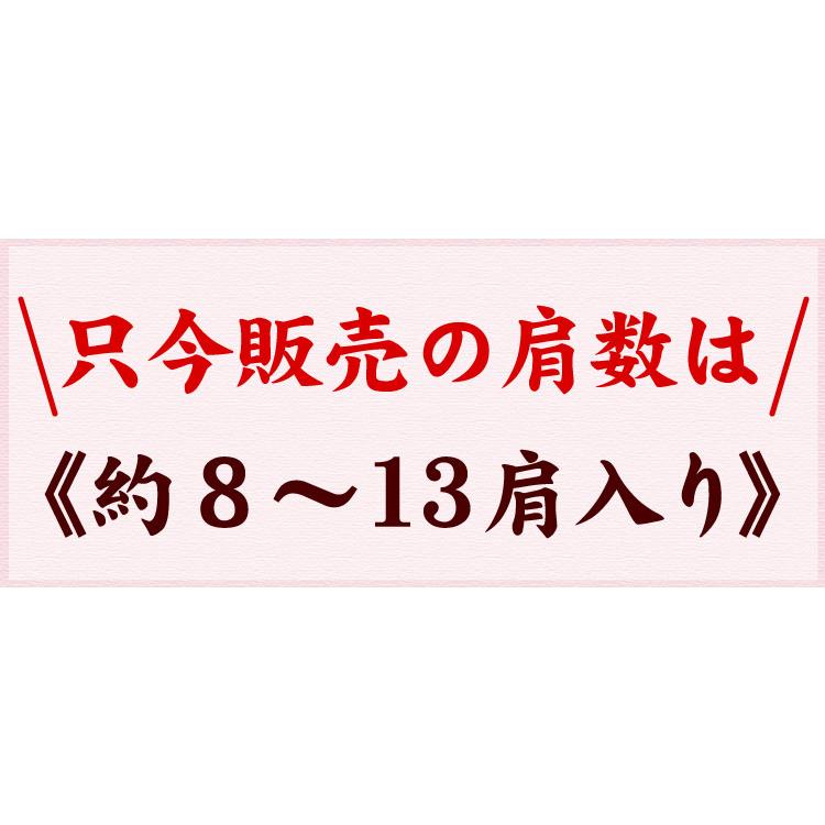 ズワイガニ足　大量3キロ （約8-13肩入り） 本ズワイガニ脚 ずわい蟹 北海道 お取り寄せグルメ 送料無料（沖縄宛は別途送料を加算）