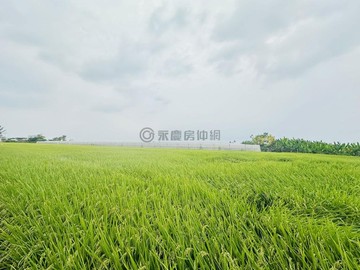 ✨美濃大面寬方正4.9分優質農牧用地✨｜高雄市美濃區吉和段