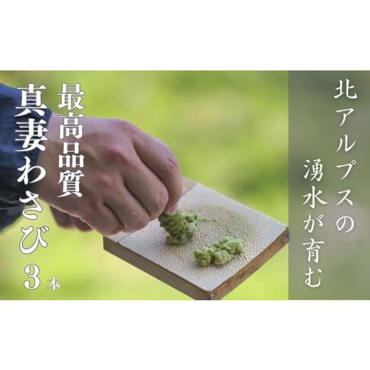 ふるさと納税 新潟県 糸魚川市 本ワサビ「真妻わさび」Mサイズ3本セット 約240ｇ 北アルプスの湧水が育てた山の宝石 新鮮 薬味