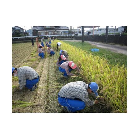 ふるさと納税 倉吉農高の米　縁結び（白米） （300ｇ×3袋） 鳥取県倉吉市