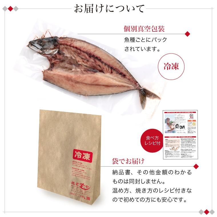 特大 サバ 干物 1尾 巨大 キング さば 鯖 干物セット 真空パック 一夜干し 一夜干し魚 一夜干しセット ((冷凍))