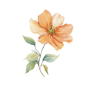 卉心漫遊 PET 紙膠帶