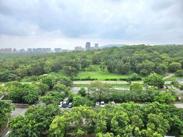 都會公園首排#鼎宇森林之星全新輕豪宅4房+雙平車｜高雄市橋頭區橋新一路