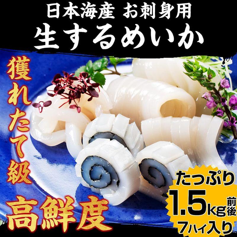 ますよね 日本海産 お刺身用 するめいか（真イカ） スルメイカ 7ハイ(1.5kg前後)