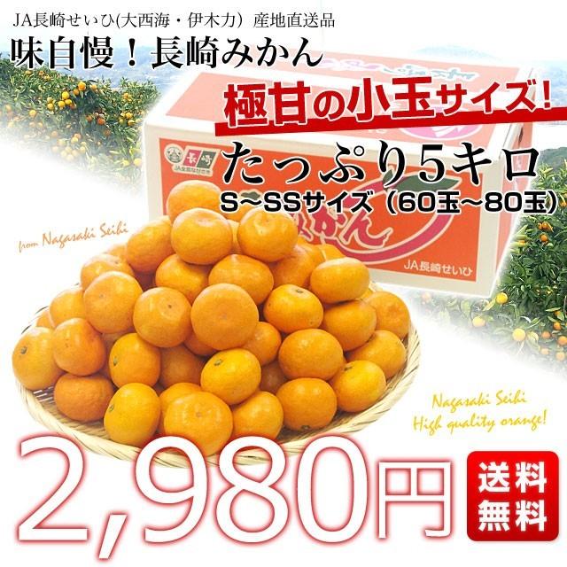 長崎県より産地直送 JA長崎せいひ 長崎みかん 小玉 SからSSサイズ 5キロ 蜜柑 ミカン 送料無料　御歳暮 お歳暮