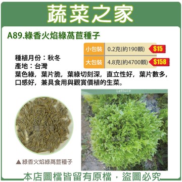 【蔬菜之家】A89.綠香火焰綠萵苣種子(共有2種包裝可選)