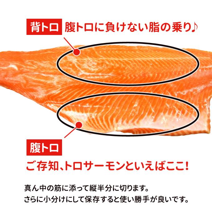 トロサーモン 半身 約800g 刺身用 送料無料 お取り寄せグルメ