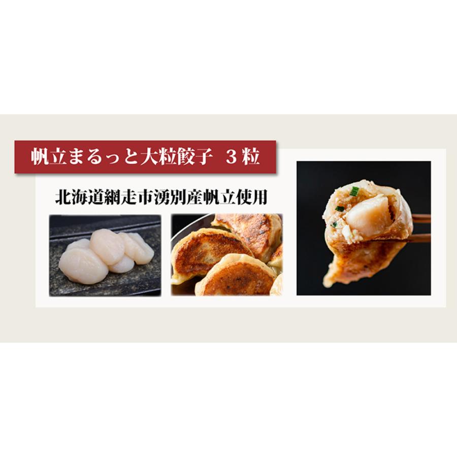 SAPPORO餃子製造所 特選 北海道餃子ギフト 5種セット 送料無料 餃子 北海道餃子 中華料理 お取り寄せ ご飯のお供 ビール おつまみ ご自宅用 贈り物 ギフト