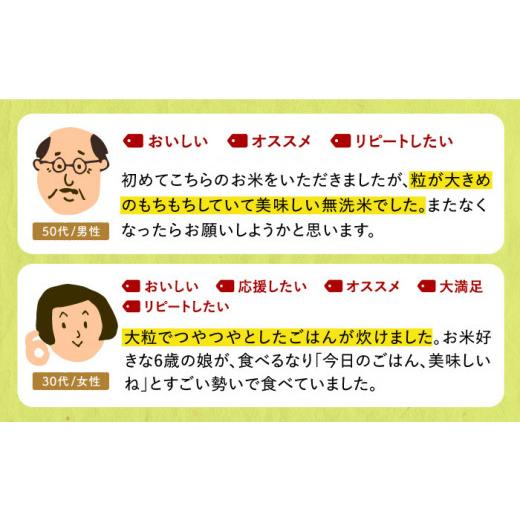 ふるさと納税 佐賀県 江北町 さがびより 無洗米 5kg [HBL027]